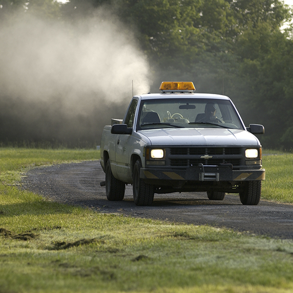 Mosquito Control